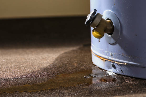 Best Local water damage restoration  in Union City, NJ
