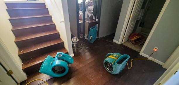 Best Water damage restoration near me  in Union City, NJ