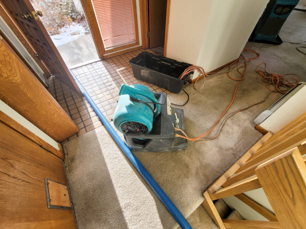 Best Professional water damage repair  in Union City, NJ