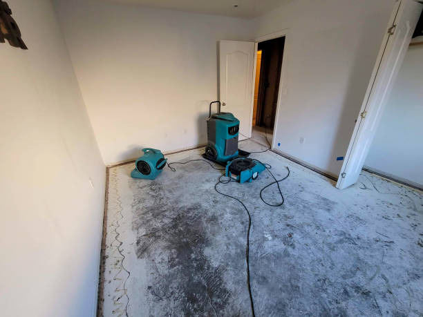 Best Water damage restoration near me  in Union City, NJ