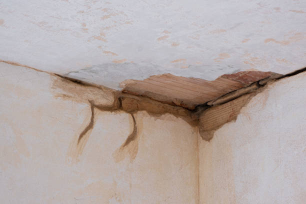 Best Residential water damage restoration  in Union City, NJ