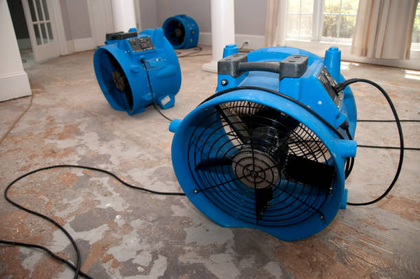 Best Commercial water damage restoration  in Union City, NJ