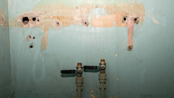 Best Ceiling water damage repair  in Union City, NJ