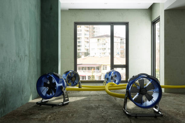Best Commercial water damage restoration  in Union City, NJ