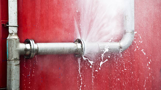 Best 24/7 water damage repair  in Union City, NJ